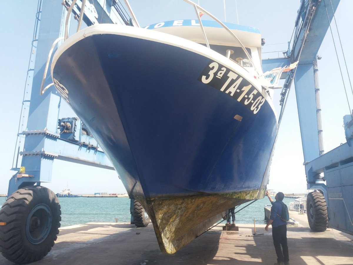 Imagen de Capitol 11 - 2018